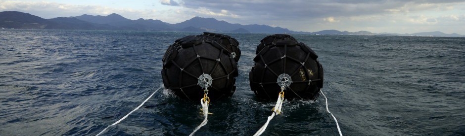 Θαλάσσιος αερόσακος διάσωσης