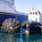 Του υψηλού ανθεκτικά BV λαστιχένια κιγκλίδωμα αποβαθρών ποιοτικού Yokohama θαλάσσια για το λιμένα