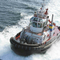 Tugboat λαστιχένιο θαλάσσιο λαστιχένιο κιγκλίδωμα κιγκλιδωμάτων με το BV CCS εγκεκριμένο